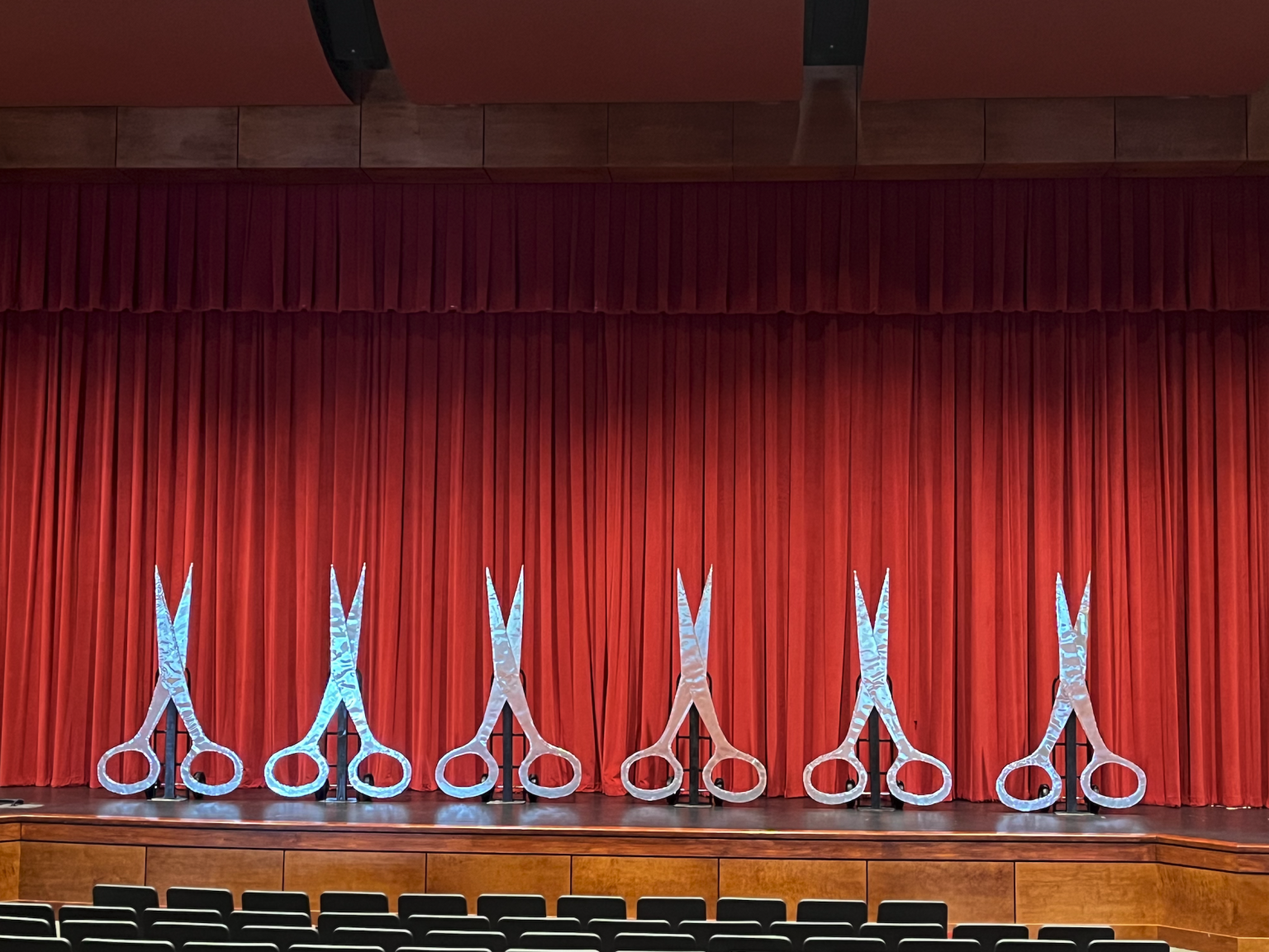 Rapunzel Fannin Musical Productions Innovative Marching Band Show rapunzel-fannin-musical-productions-innovative-marching-band-show